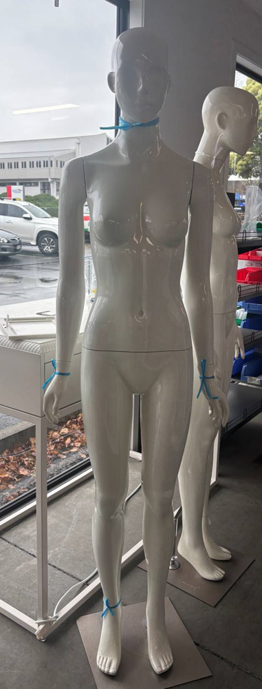 Female Mannequin - Used