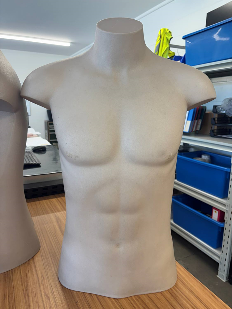 Male Torso - Used