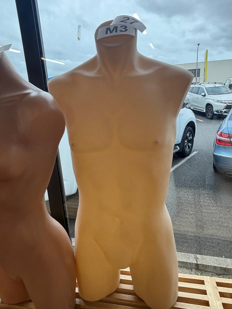 3/4 Male Torso - Used