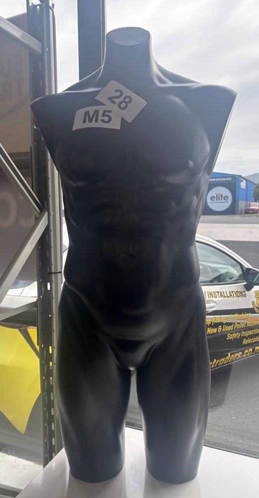 3/4 Male Torso - Used