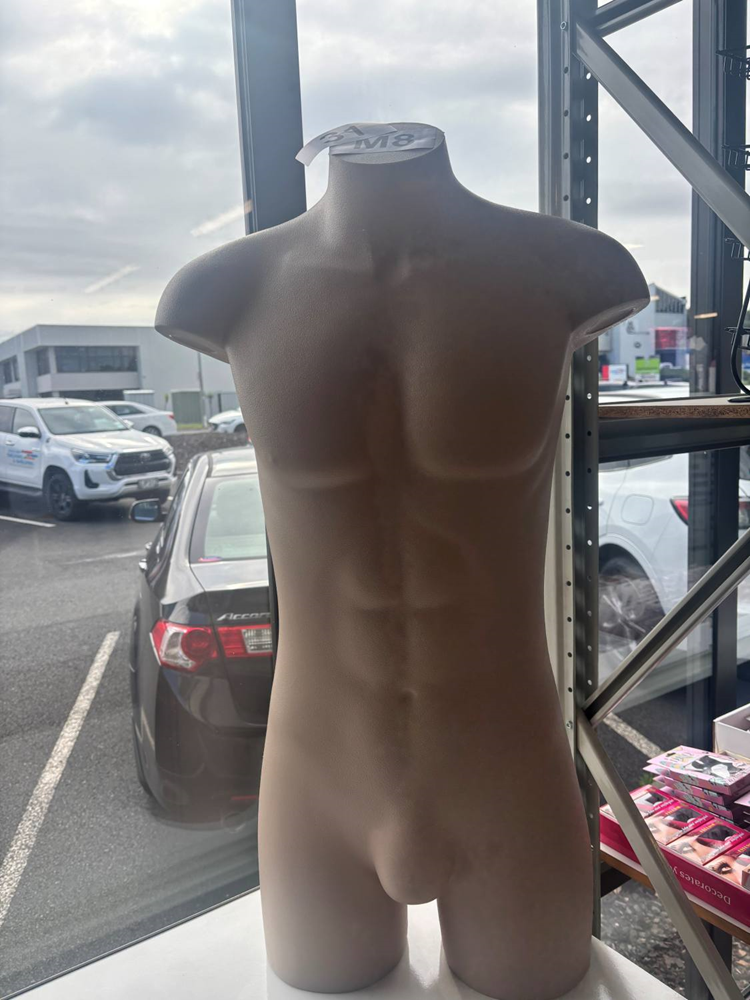 3/4 Male Torso - Used