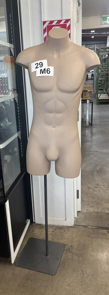 3/4 Male Torso on Stand - Use