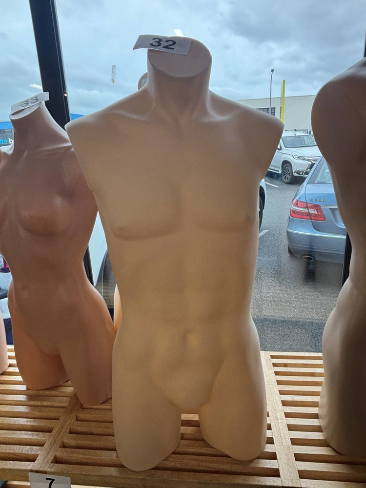 3/4 Male Torso - Used