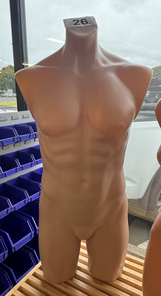 3/4 Male Torso - Used