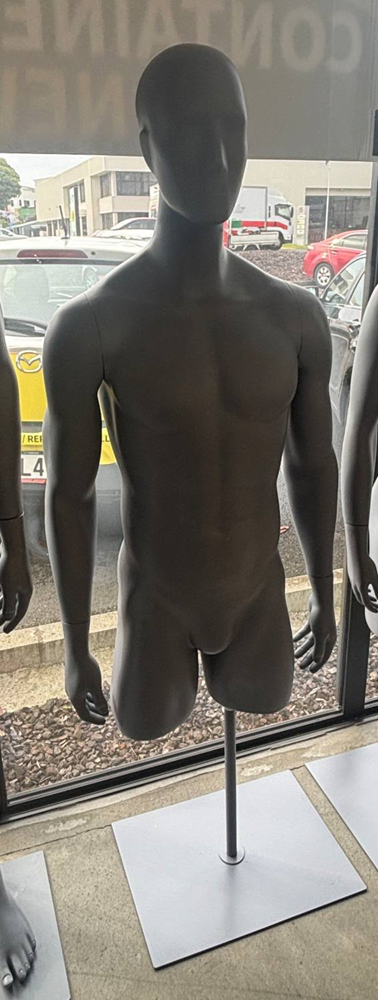Male Torso with Stand - Used