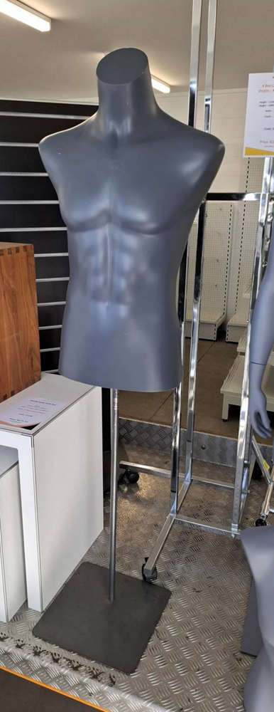 Male Torso on Stand - Used