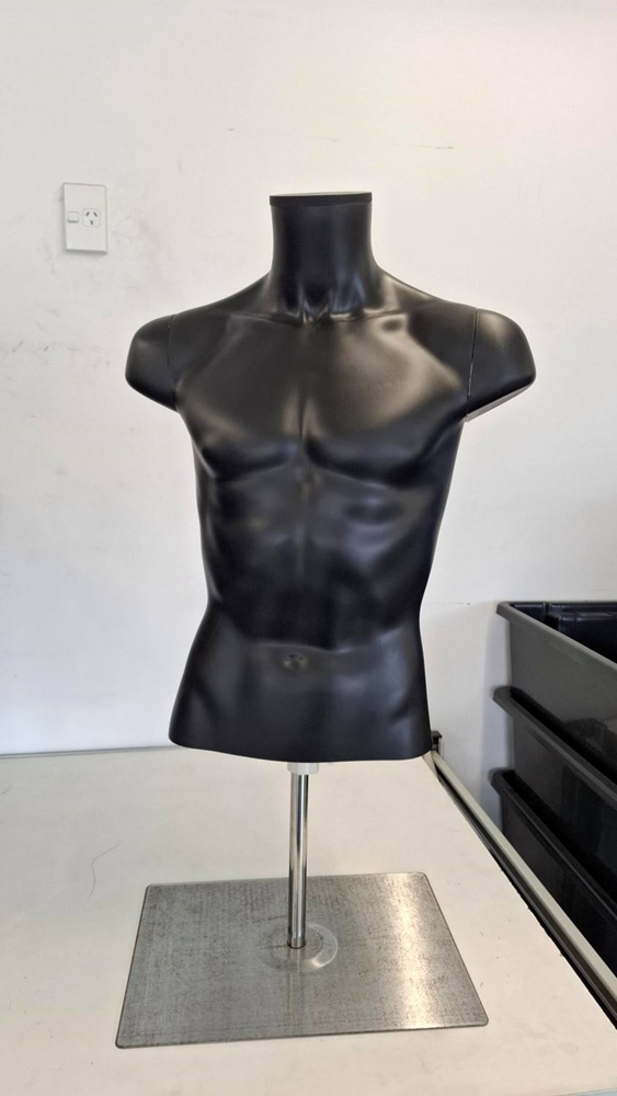 Male Torso on Stand - Used